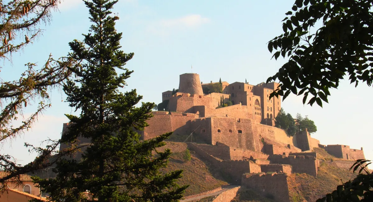 Cardona