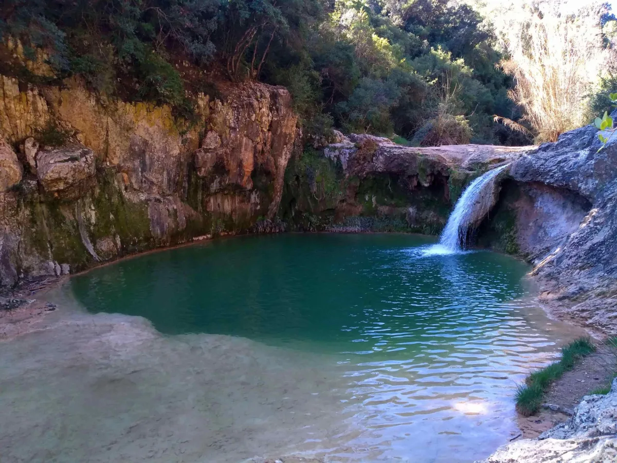 Orpí
