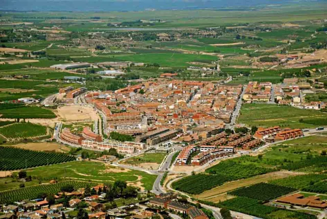 Alpicat