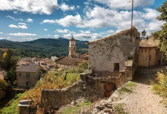 Arbolí