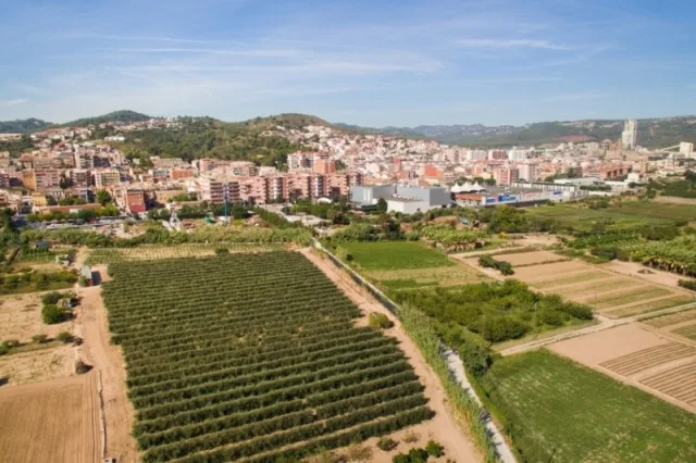 Sant Vicenç dels Horts