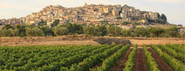 Horta de Sant Joan