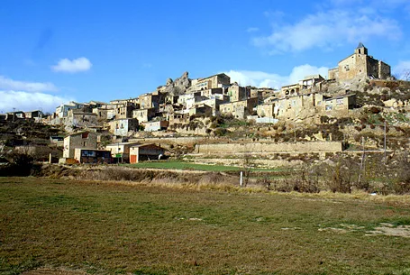 Oliola