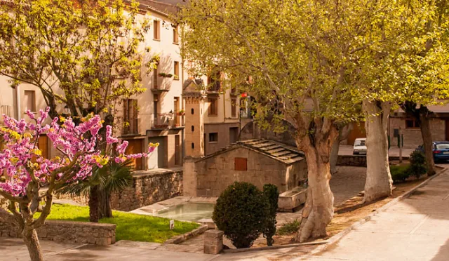 Torà