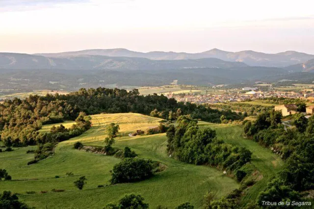 Santa Coloma de Queralt