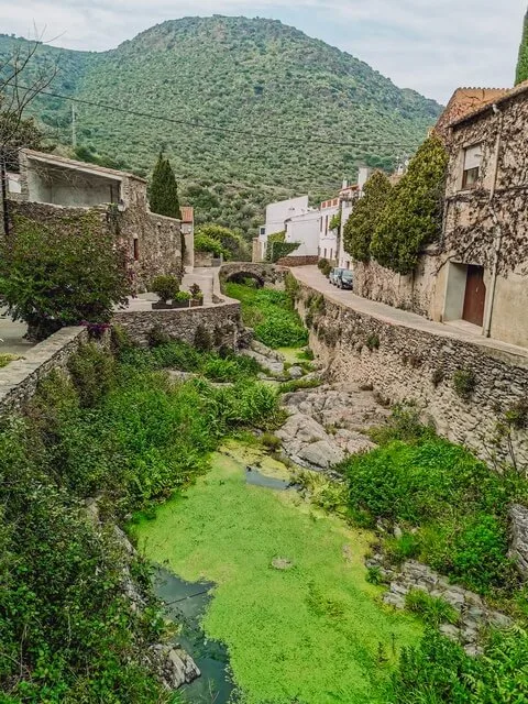 La Selva de Mar