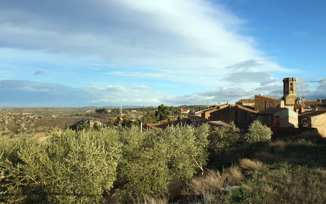 Granyena de les Garrigues