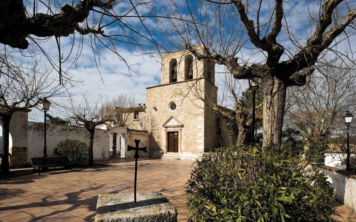 Olivella