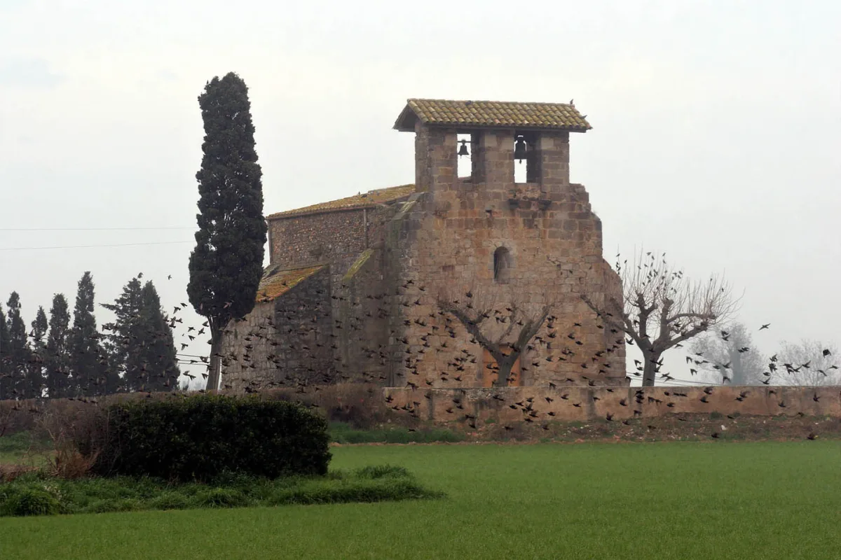 Vilamacolum