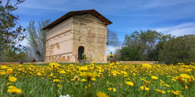 Vila-rodona