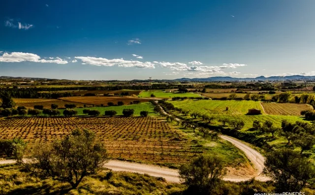 El Pla del Penedès