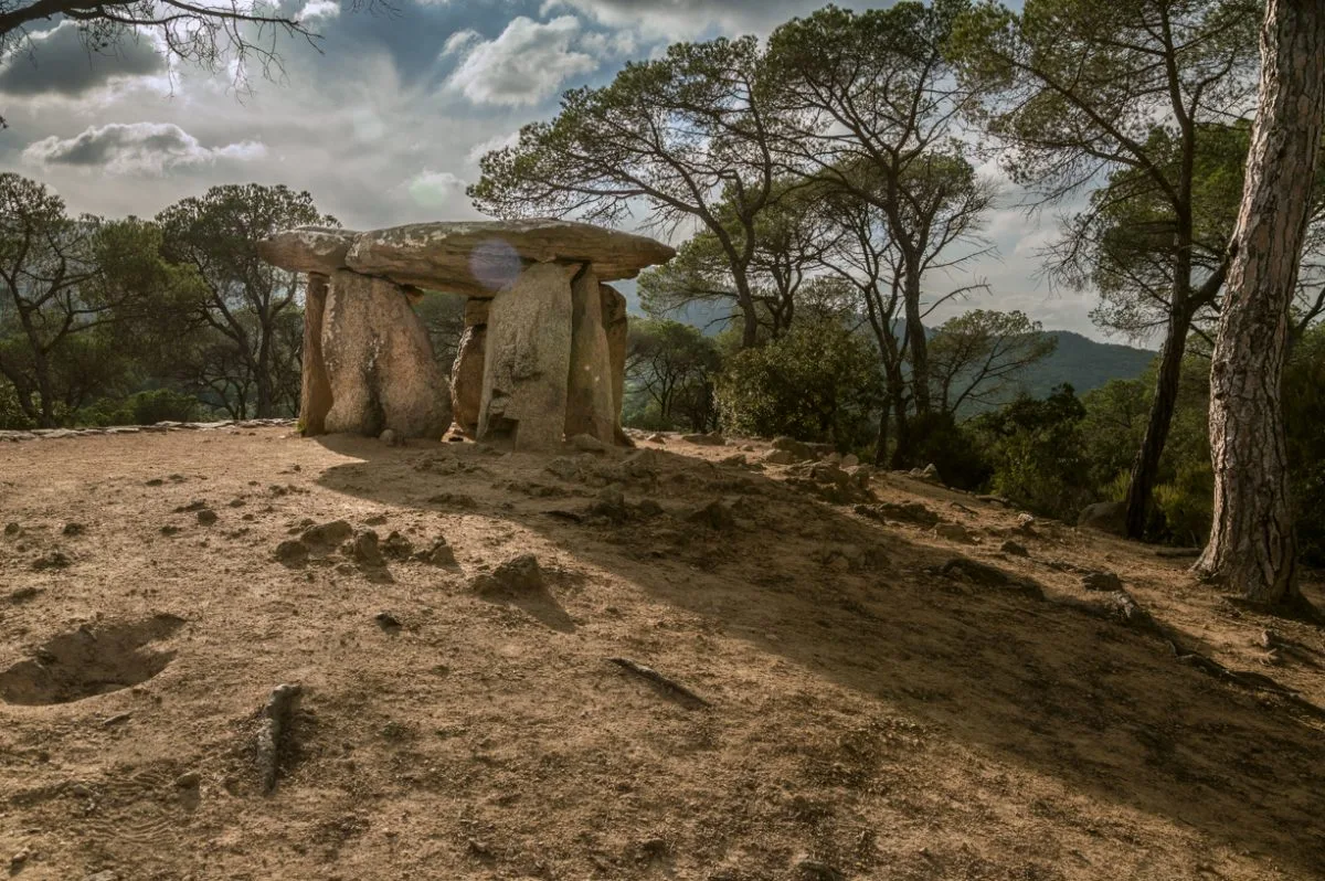 Vallgorguina