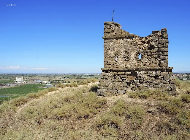 Els Alamús