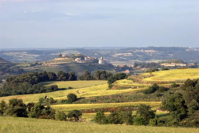 Ribera d'Ondara