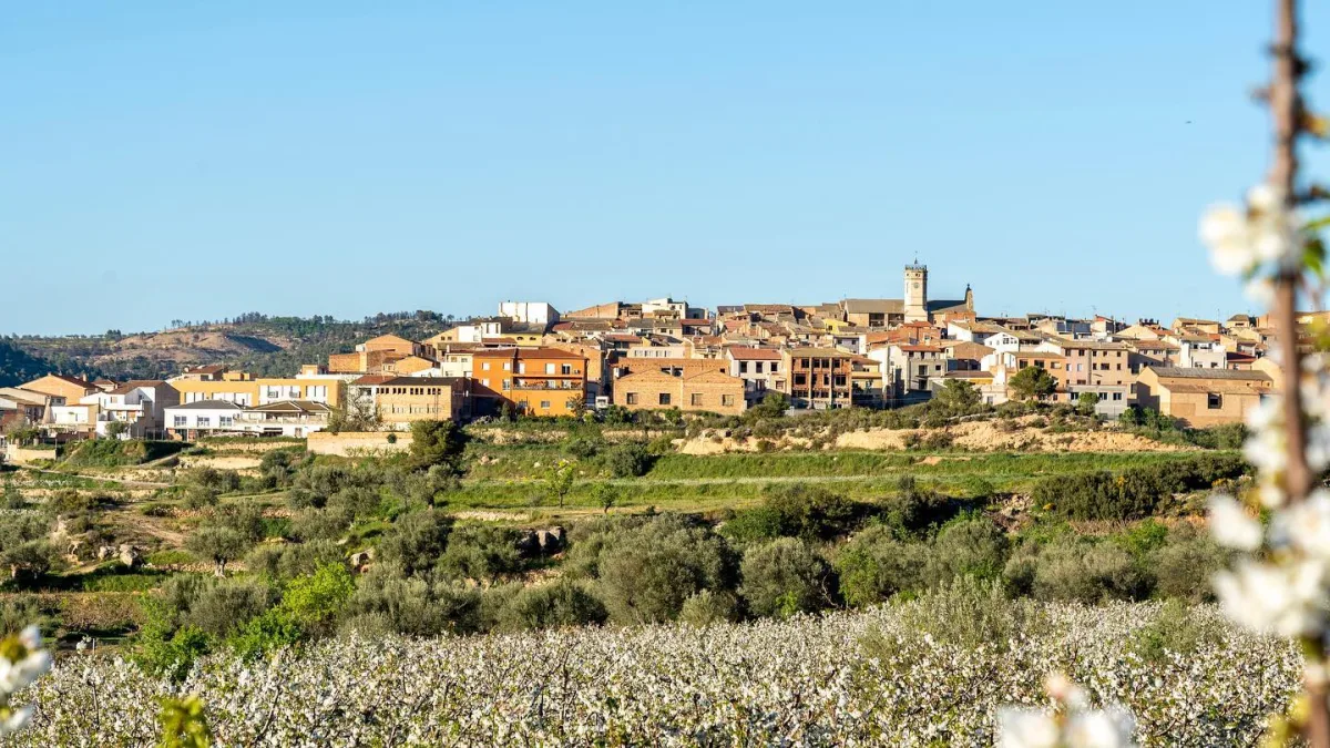 La Torre de l'Espanyol