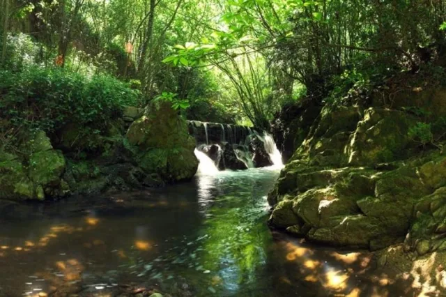Aiguafreda