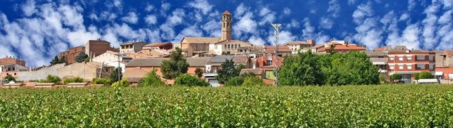 Puigverd de Lleida