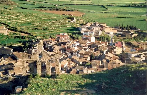 Sanaüja