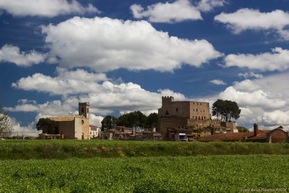 Sant Martí de Tous