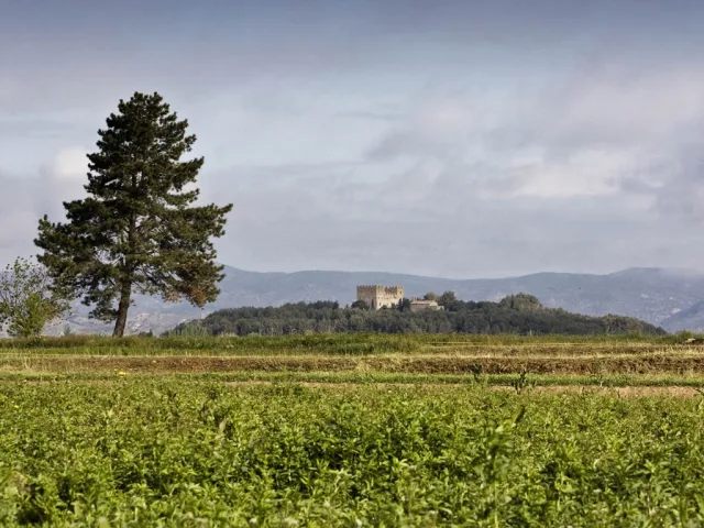 Vallfogona de Balaguer