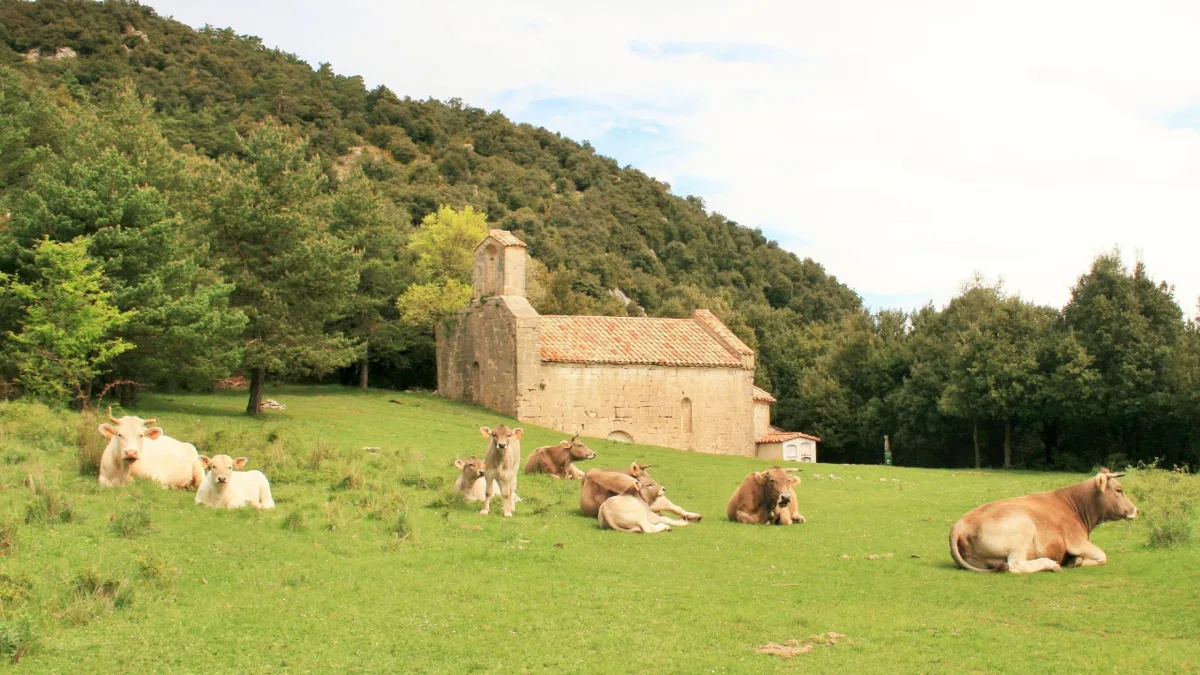 Sales de Llierca