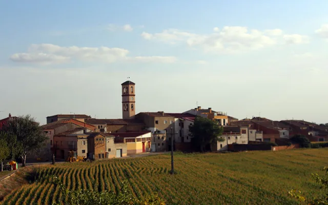 Torre-serona