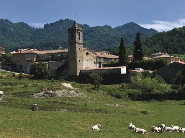 Santa Maria de Besora