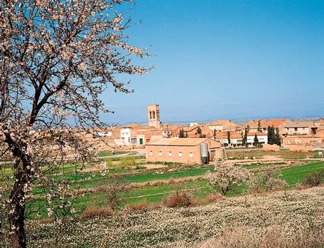 Vilagrassa