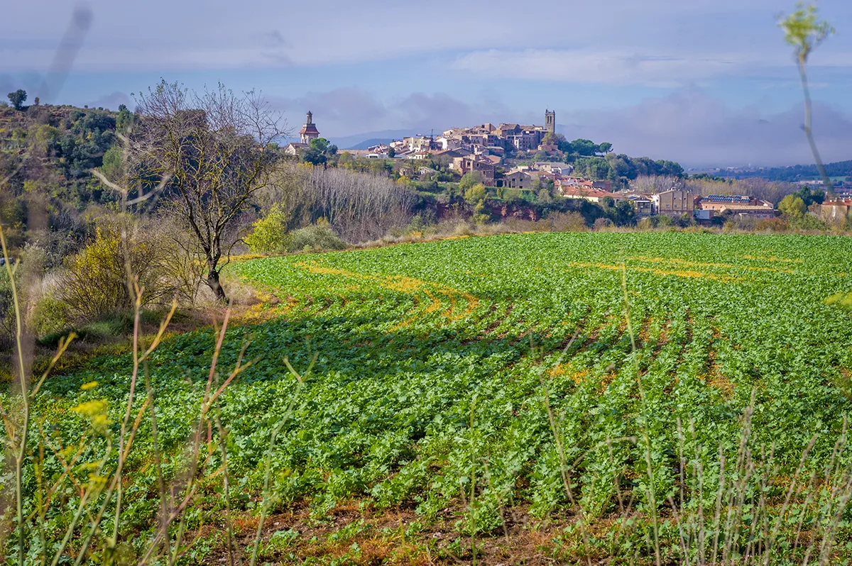Artés