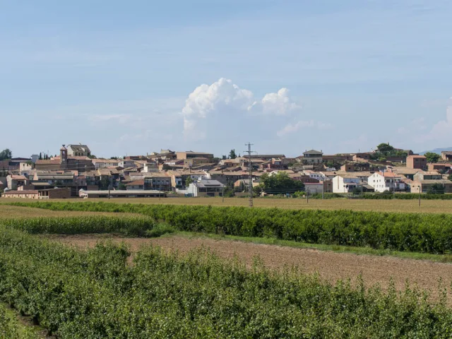 Menàrguens